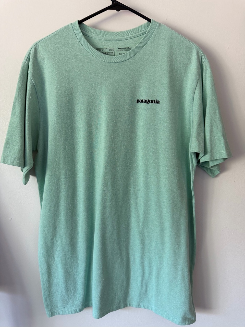 Patagonia Mint Green Short-Sleeve Logo Tee